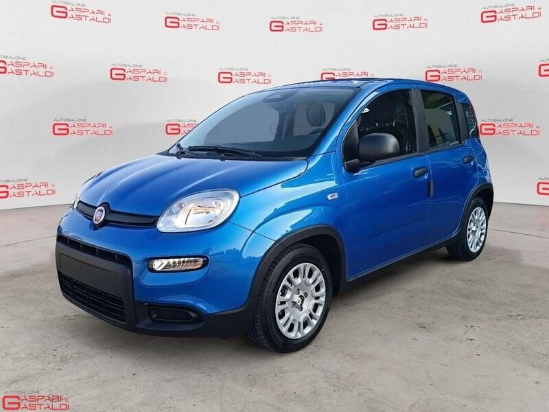 FIAT Pandina 1.0 FireFly 65cv S&S 6m Hybrid Icon
