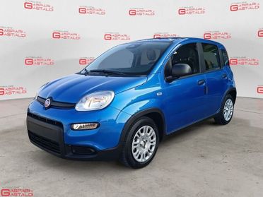 FIAT Pandina 1.0 FireFly 65cv S&S 6m Hybrid Icon
