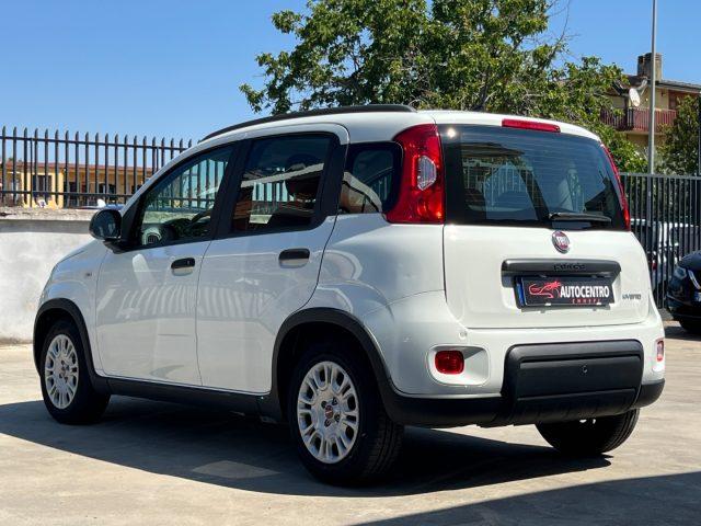 FIAT Panda 1.0 FireFly S&S Hybrid PREZZO REALE!