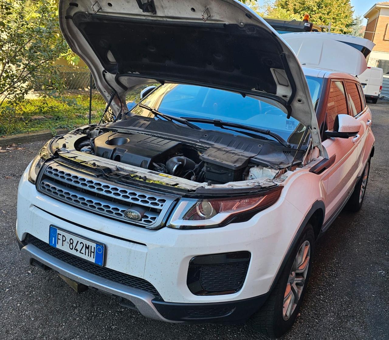 Land Rover Evoque 4x4 Unico proprietario