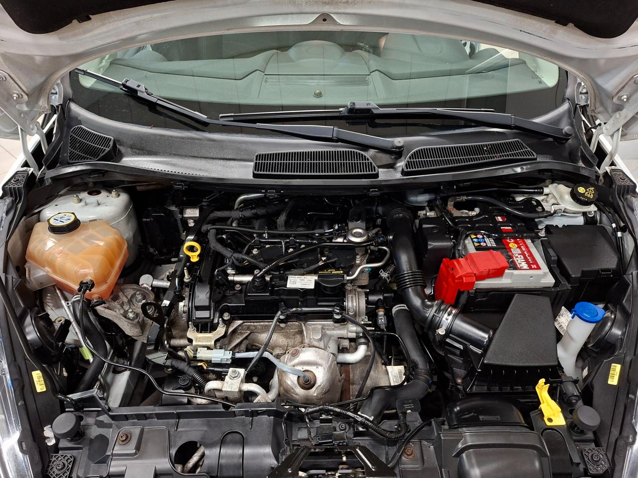 Ford Fiesta 1.0 80CV 5 porte Business