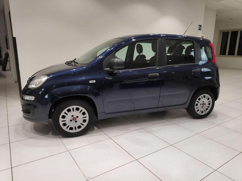 FIAT Panda Panda 1.2 Easy*5 POSTI*