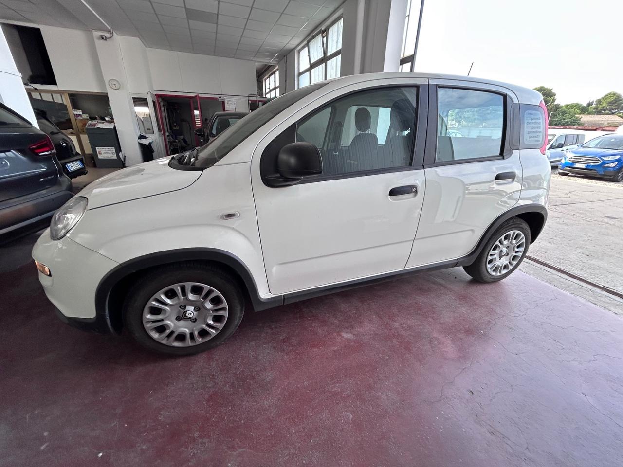 Fiat Panda 1.0 FireFly S&S Hybrid Pandina km1.500