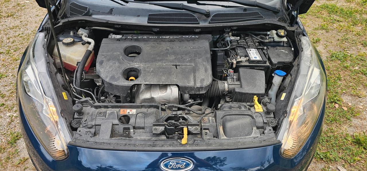Ford Fiesta 1.5 TDCi 75CV 5 porte Business