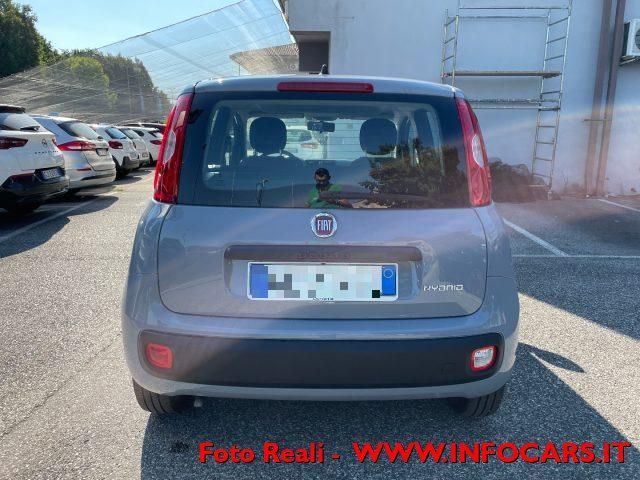 FIAT Panda 1.0 FireFly S&S Hybrid NEOPATENTATI PROMO