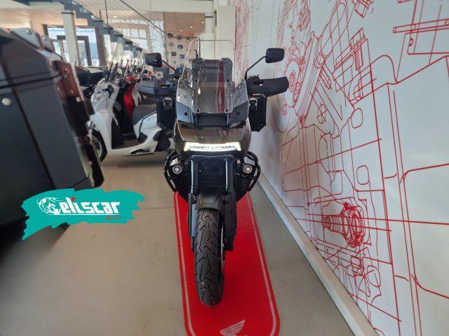 HARLEY-DAVIDSON Pan America 1250 PAN AMERICA 1250
