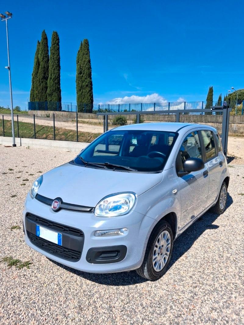 FIAT Panda 3ª serie Panda 1.2 Easy