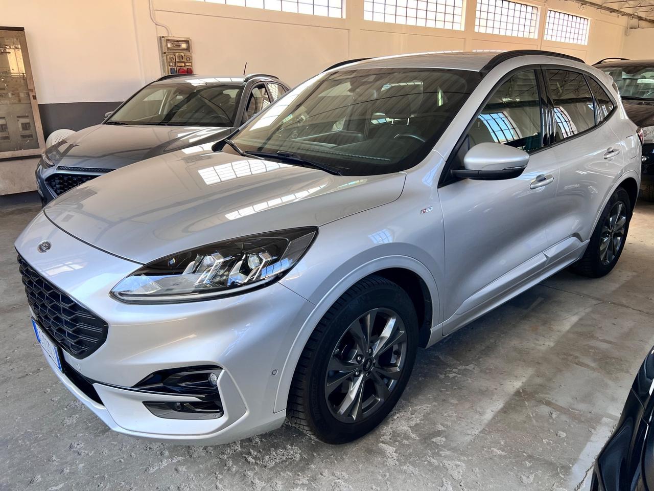 Ford Kuga 1.5 EcoBlue 120 CV aut. 2WD ST-Line X CINGHIA FATTA