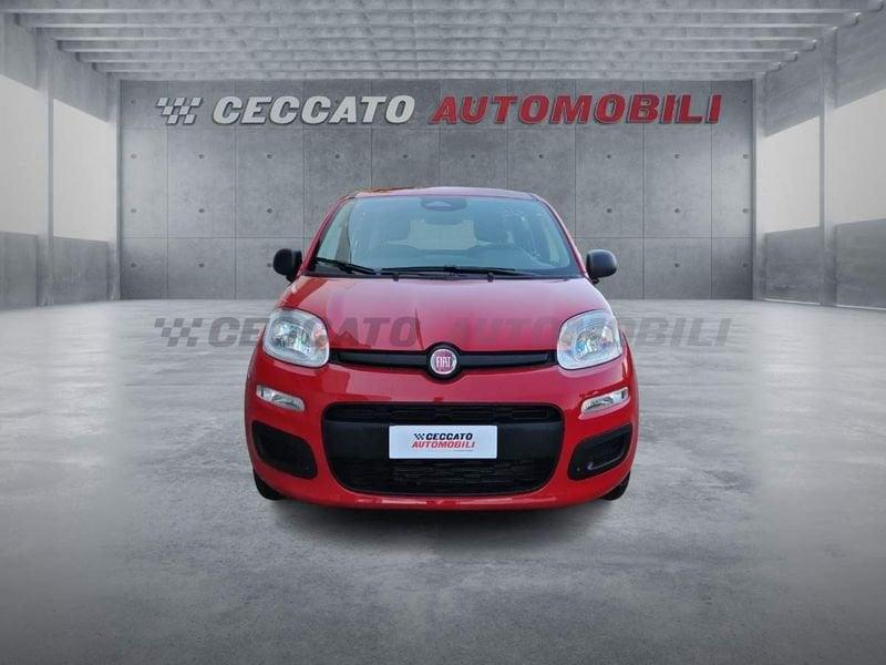 FIAT Panda Panda 1.0 70cv Hybrid Icon