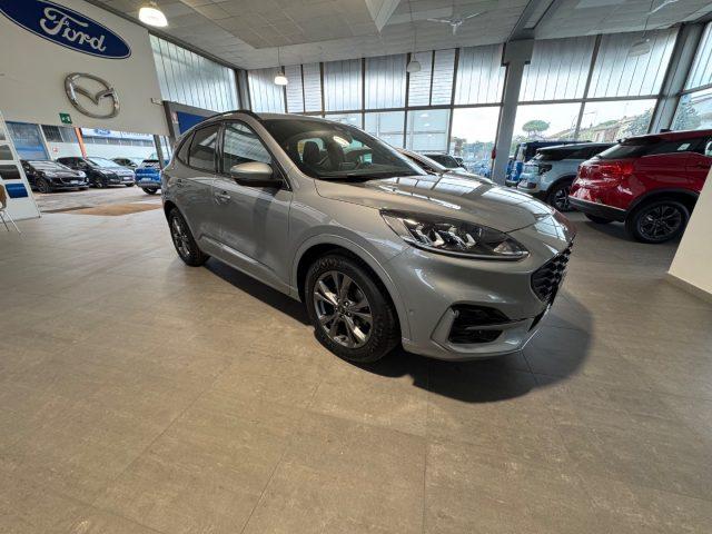 FORD Kuga 1.5 EcoBlue 120 CV 2WD ST-Line