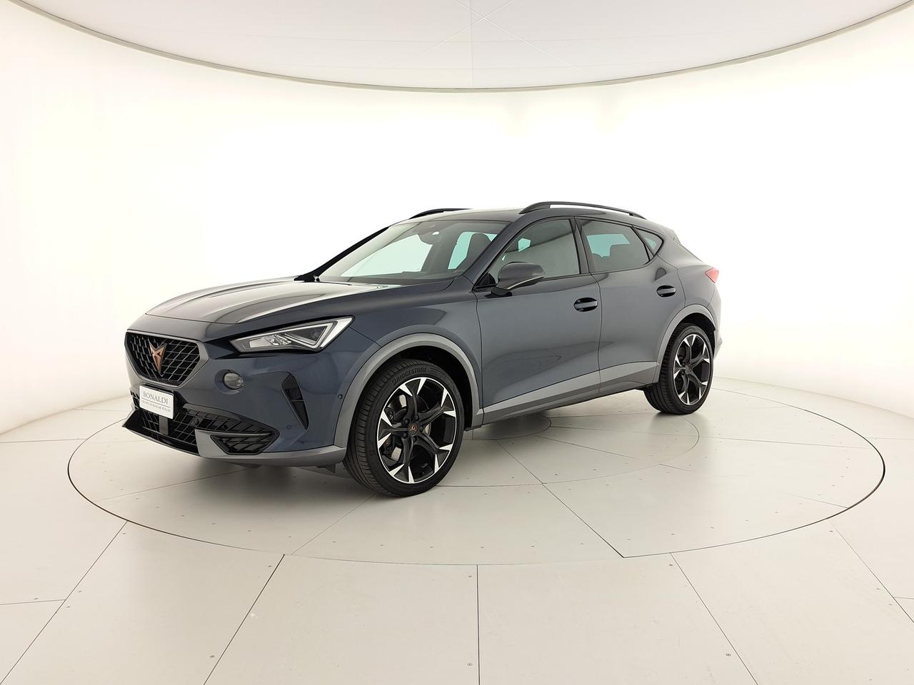 Cupra Formentor 2.0 tsi vz 4drive 310cv dsg