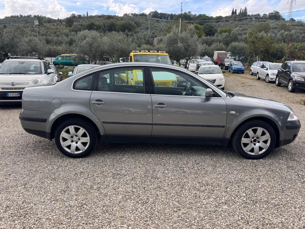 Volkswagen Passat 1.9 TDI/101 CV cat Business