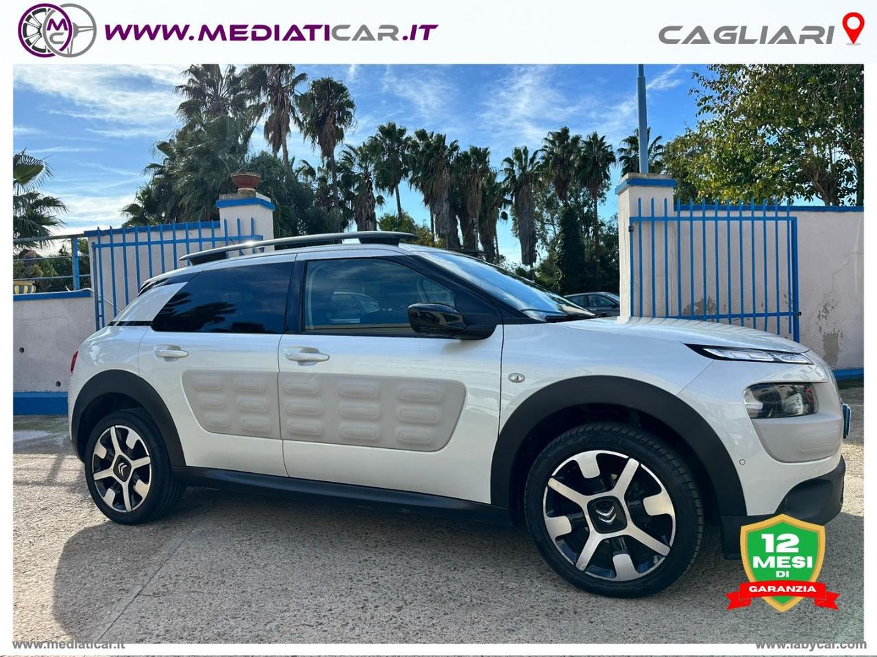 CITROEN C4 Cactus BlueHDi 100 Shine