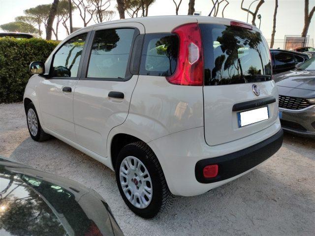 FIAT Panda 1.2 Easy CLIMATIZZATORE OK NEOPATENTATI