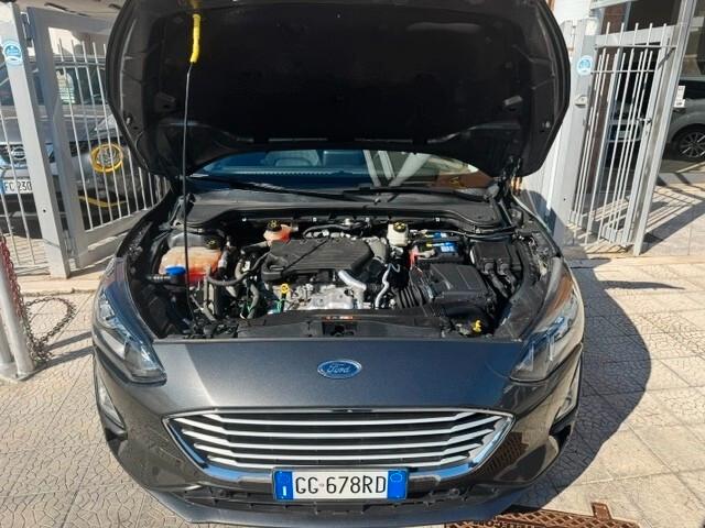 Ford Focus 1.5 EcoBlue 120 CV automatico SW Business
