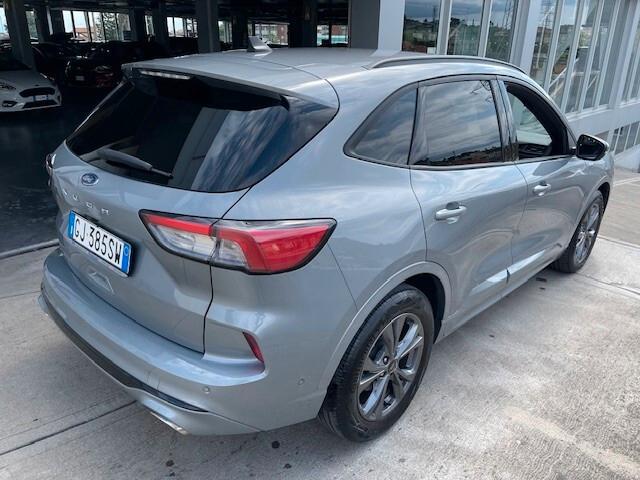Ford Kuga 1.5 EcoBlue 120 CV aut. 2WD ST-Line X