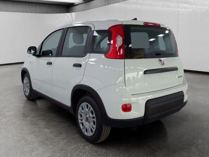 FIAT Panda 1.0 firefly hybrid s&s 70cv