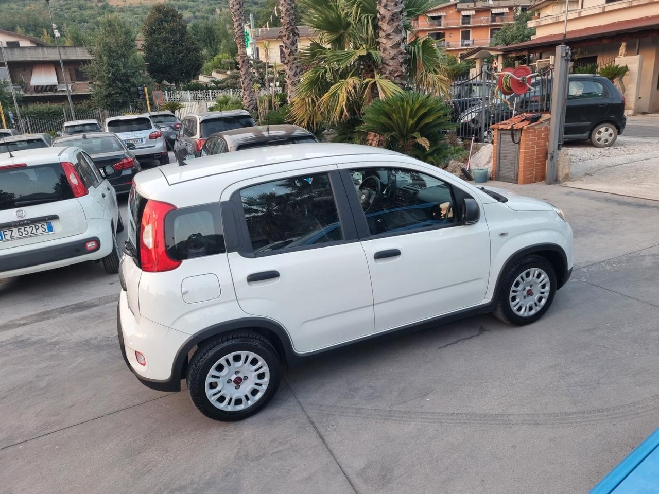 Fiat Panda 1.0 FireFly S&S Hybrid City Life - 10/2023