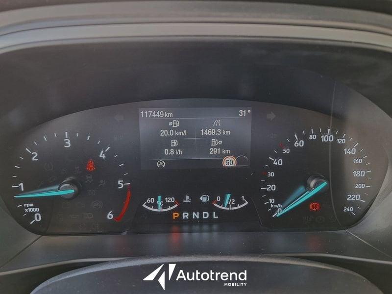 Ford Focus 1.5 Ecoblue 120 CV Automatico Business Co-Pilot
