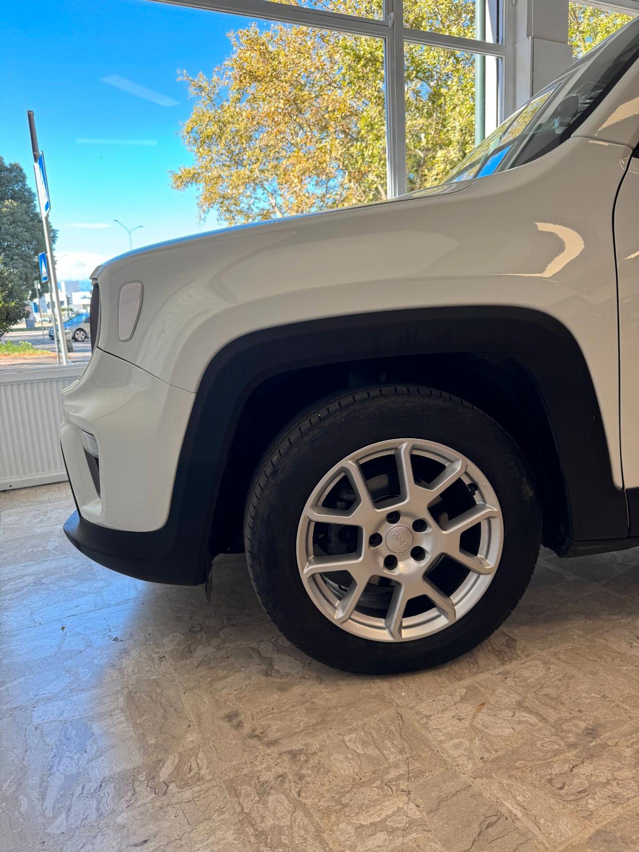 Jeep Renegade 1.6 Mjt 130 CV Limited