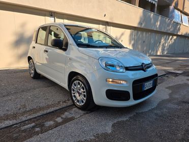 Fiat Panda 1.0 FireFly S&S Hybrid 2021