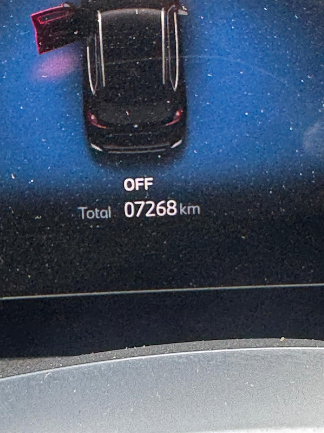 Bmw IX1 xDrive 30 xLine