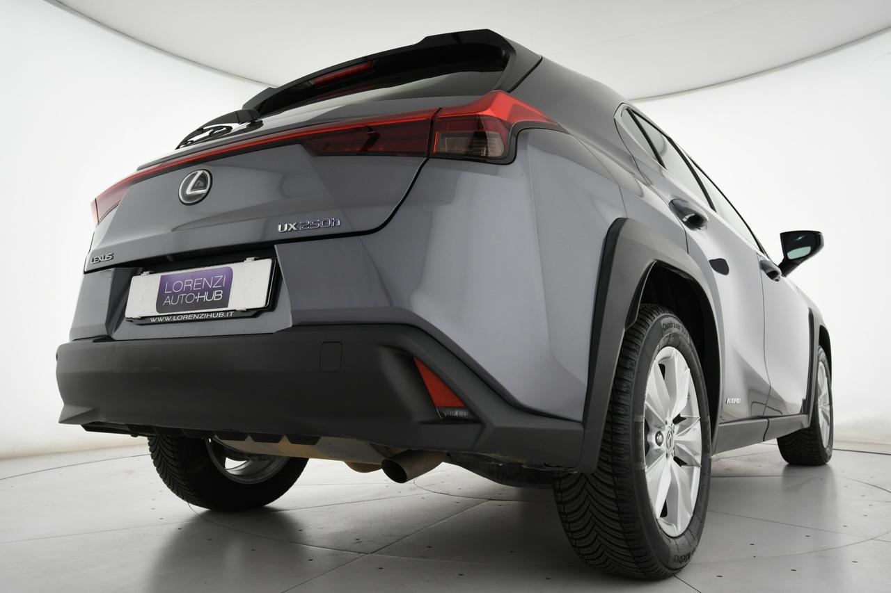 LEXUS UX 250h 2.0 F-Sport 2wd cvt CAMERA+ACC+C17"