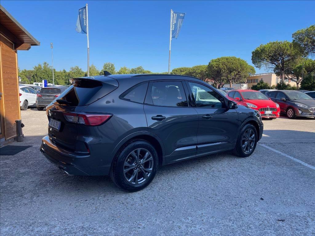 FORD Kuga 1.5 ecoblue ST-Line 2wd 120cv del 2021