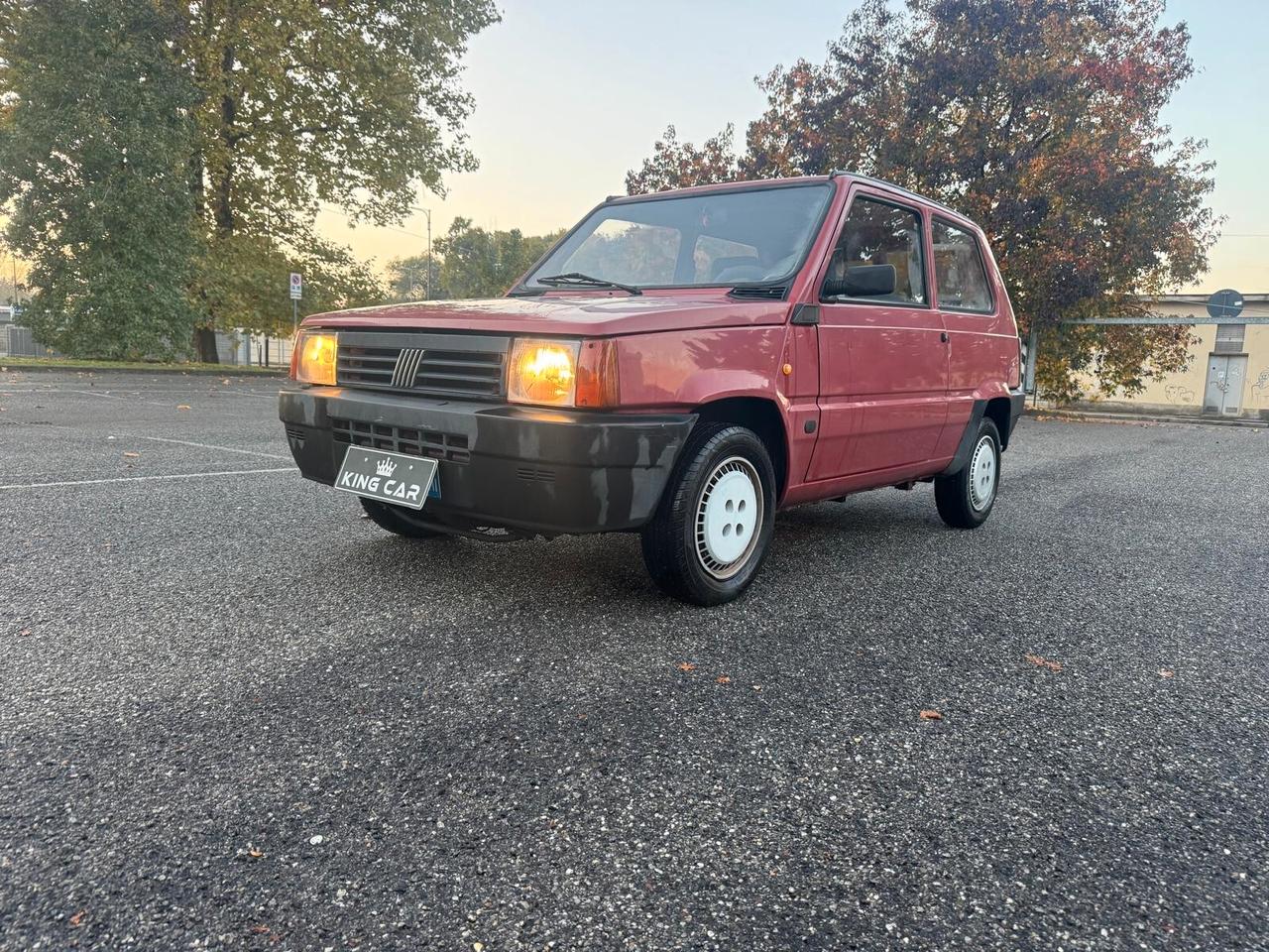 Fiat Panda 1100 i.e. cat Hobby