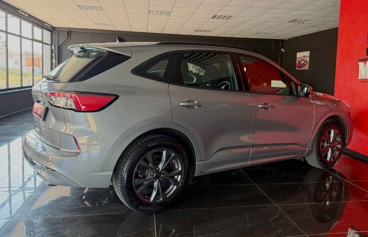 Ford Kuga 1.5 EcoBlue 120 CV aut. 2WD ST-Line X Design