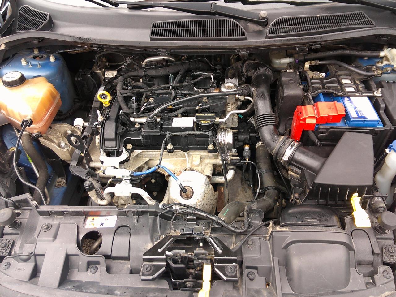 Ford Fiesta 1.0 80CV 5 porte 2013