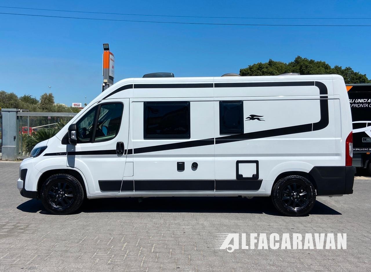 Laika Kosmo CV60
