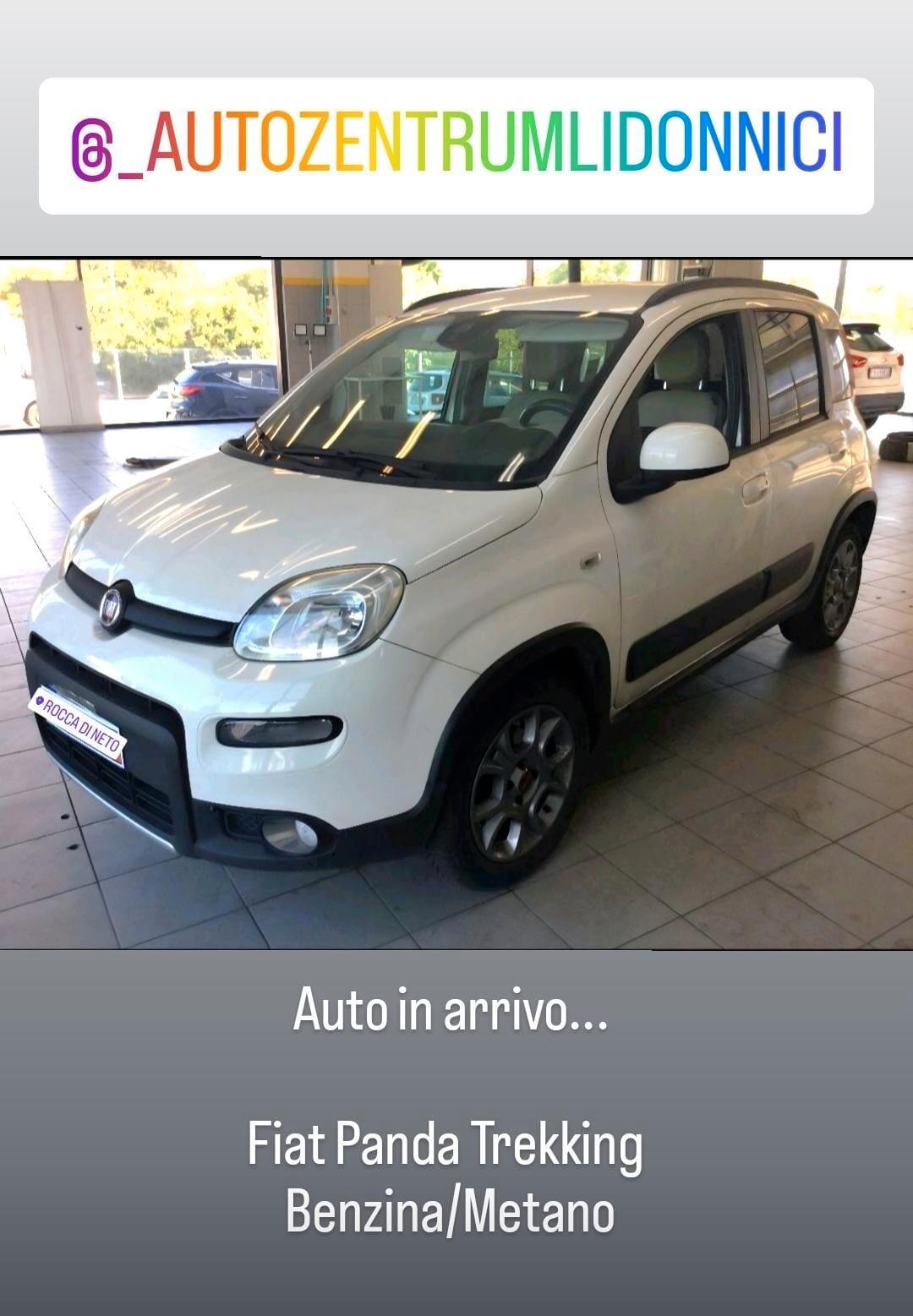 Fiat Panda 0.9 TwinAir Turbo Natural Power Trekking