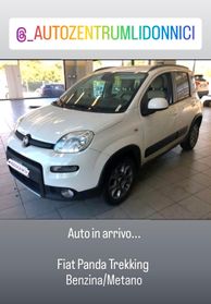 Fiat Panda 0.9 TwinAir Turbo Natural Power Trekking