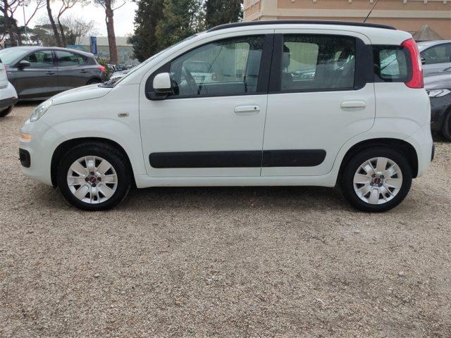 FIAT Panda New 1.2 GPL Lounge CLIMA OK NEOPATENTATI