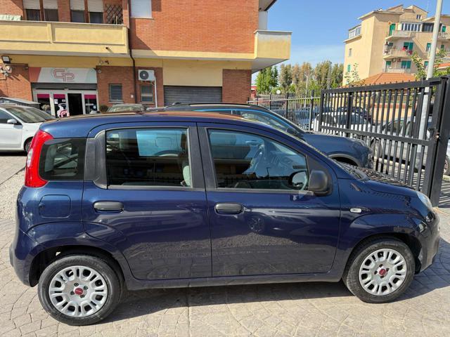 FIAT Panda 1.0 FireFly S&S Hybrid Eas 5 posti no obbligo fina