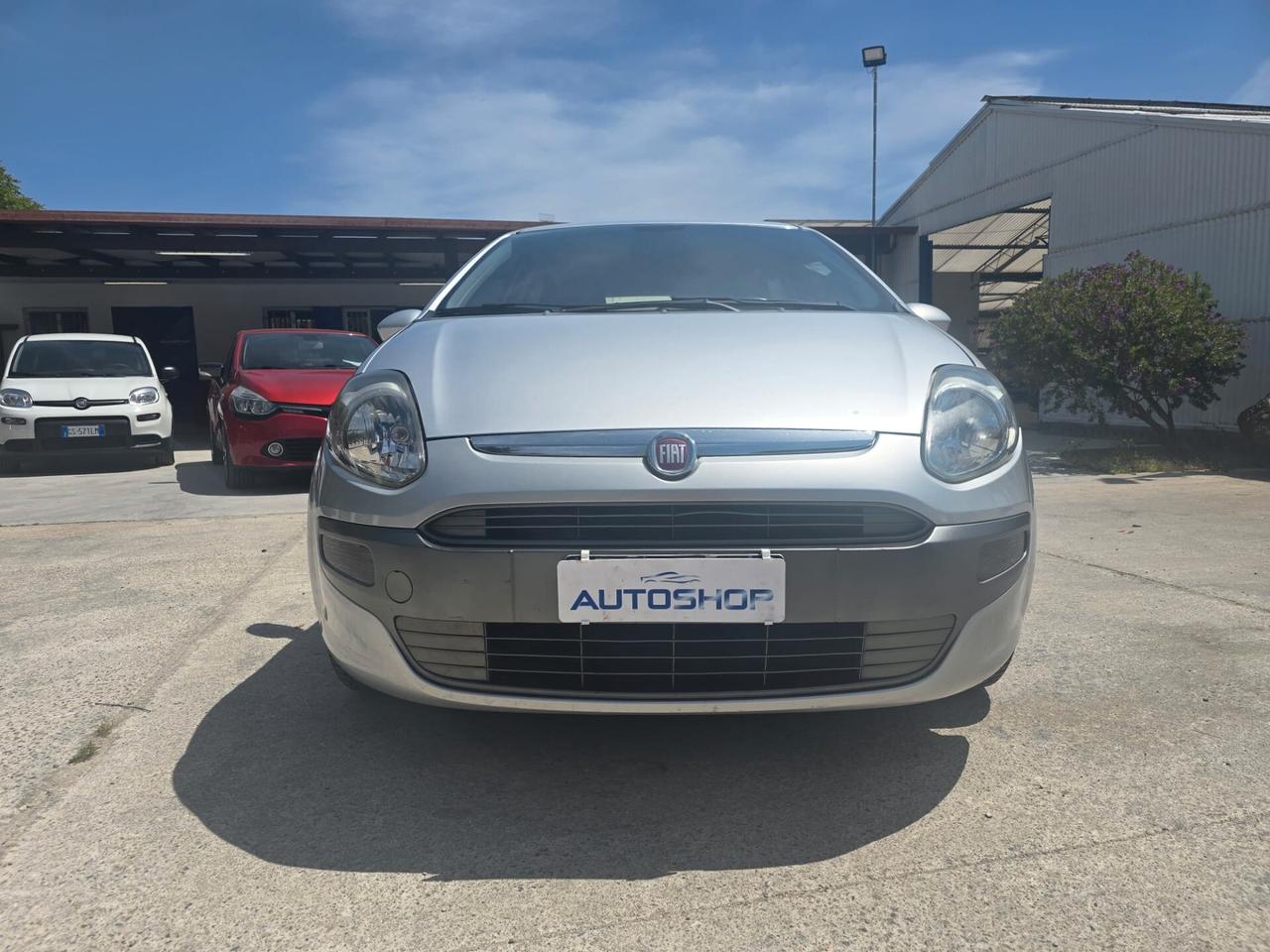 Fiat Punto Evo Punto Evo 1.2 5 porte Active