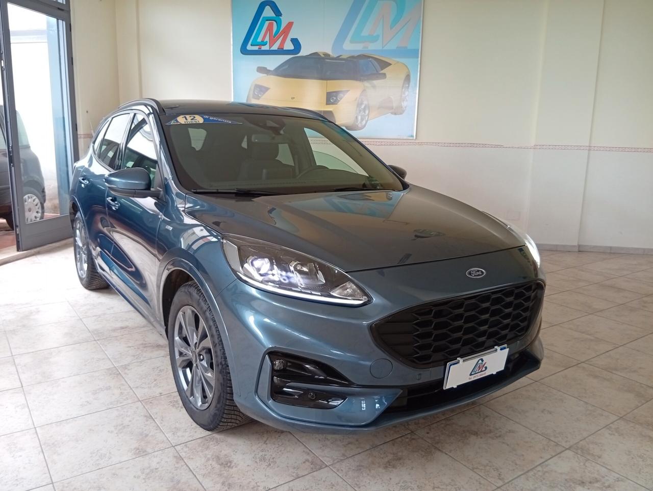 Ford Kuga 1.5 EcoBlue 120 CV aut. 2WD ST-Line