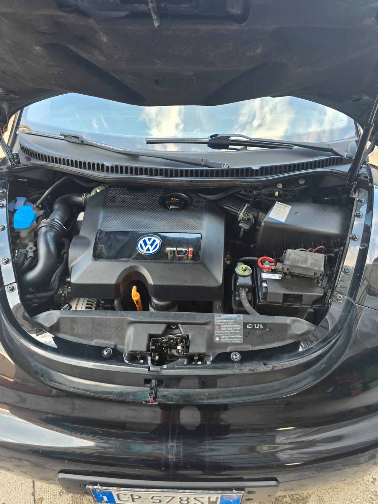 Volkswagen New Beetle 1.9 TDI 101CV
