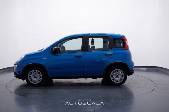 FIAT New Panda 1.0 FireFly S&S Hybrid Pack City