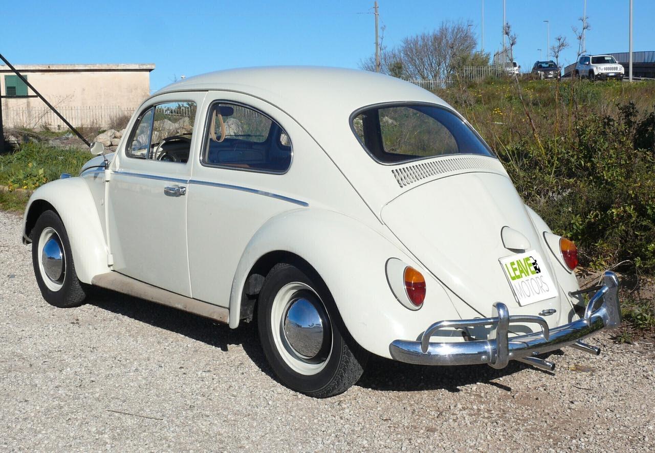 Volkswagen Maggiolino VETRO PIATTO (M1260)