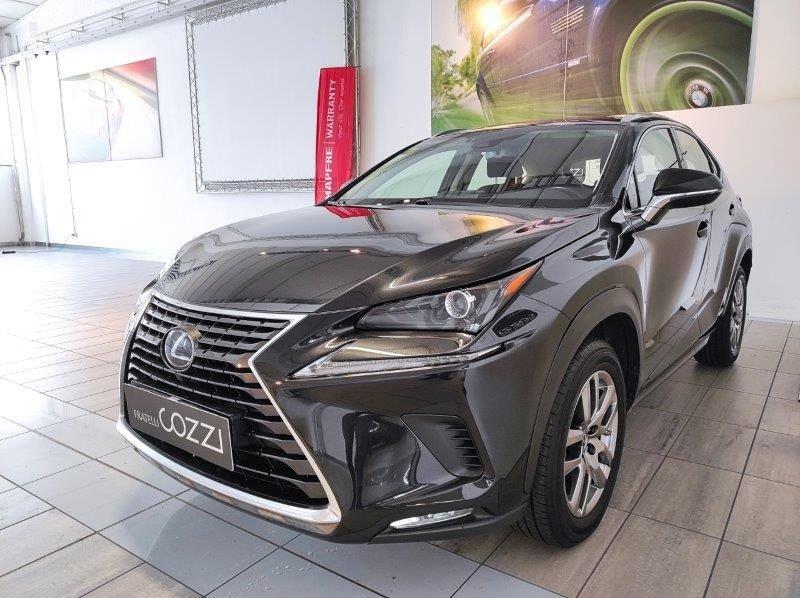 Lexus NX 1ª serie Hybrid Business