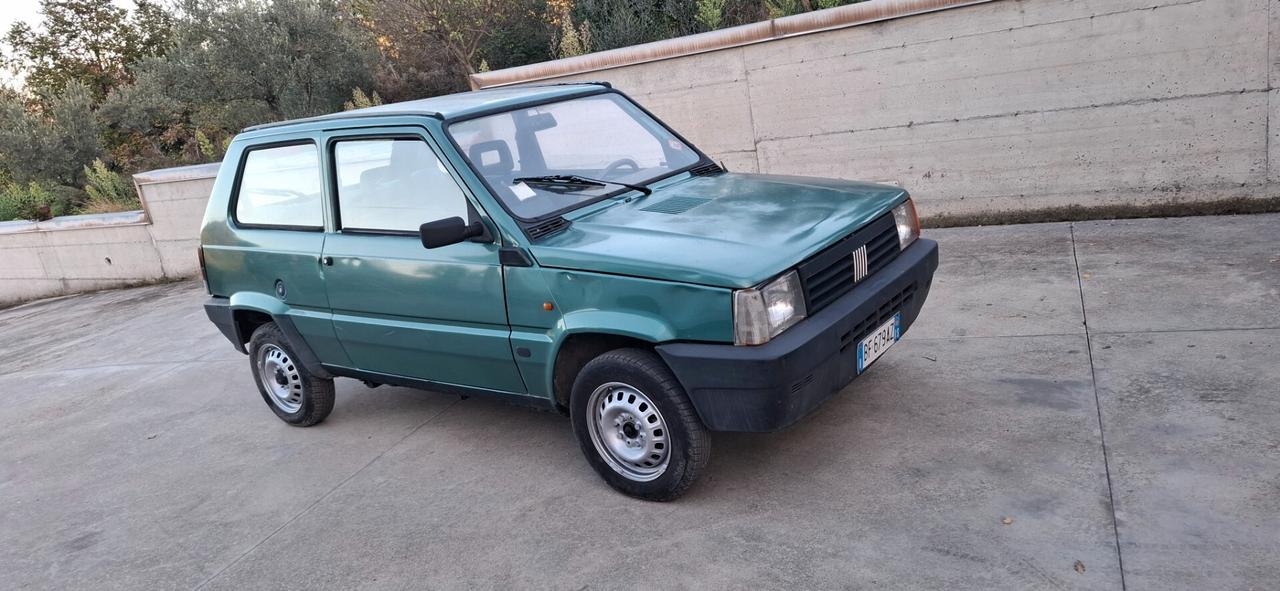 Fiat Panda 900 i.e. cat Young