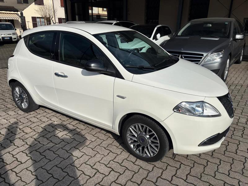 Lancia Ypsilon 5 Porte Ypsilon 1.2 8v Platinum 69cv OK NEOPATENTATO