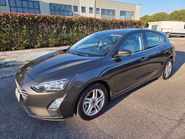 FORD Focus 1.5 EcoBlue 120 CV 5p. Business