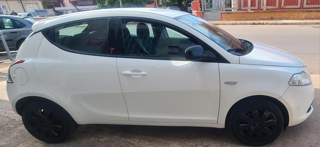 Lancia Ypsilon 1.2 69 CV 5 porte Elefantino