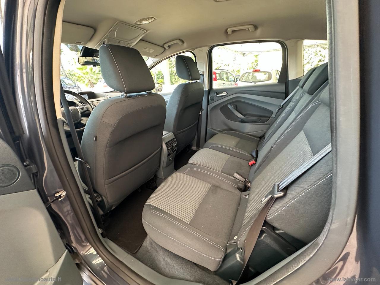 FORD C-Max 2.0 TDCi 163 CV Titanium