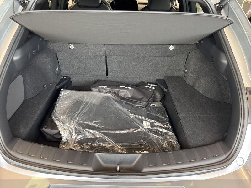 Lexus UX UX250H UX300H 2WD F-DESIGN MY24