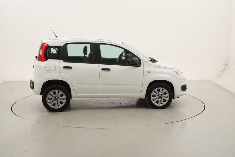 Fiat Panda Easy Natural Power BR856814 0.9 Metano 85CV