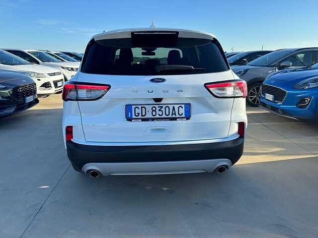 Ford Kuga 1.5 EcoBlue 120 CV 2WD Titanium Business